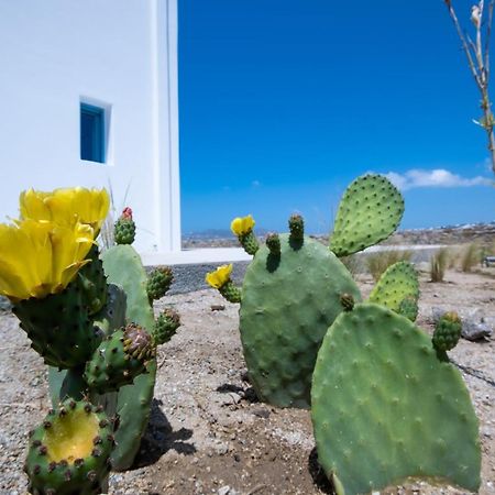 Lilly Villa By Bestofmikonos Ορνός Εξωτερικό φωτογραφία