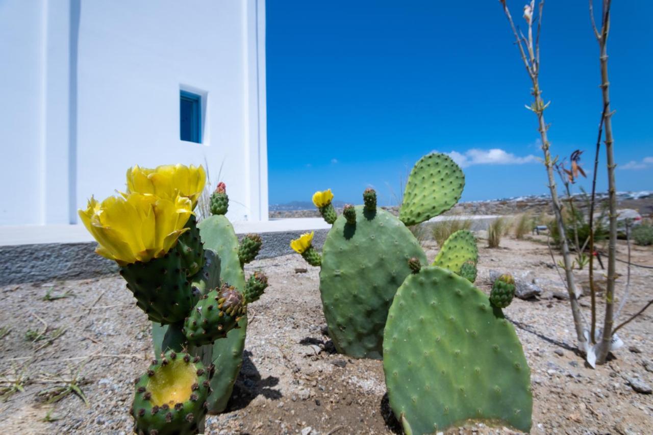 Lilly Villa By Bestofmikonos Ορνός Εξωτερικό φωτογραφία